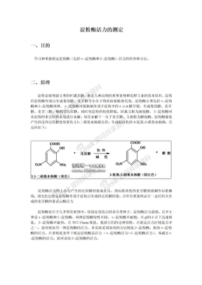 酶活力测定