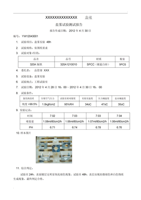 盐雾试验测试报告-范本