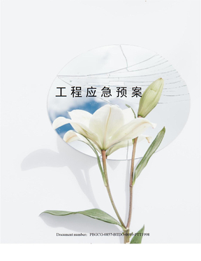 工程应急预案