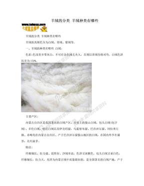 羊绒的分类 羊绒种类有哪些