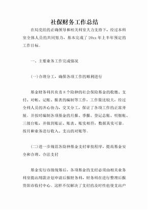 社保财务工作总结