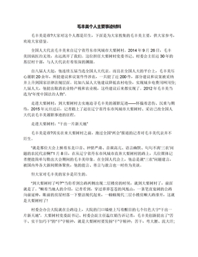 毛丰美个人主要事迹材料