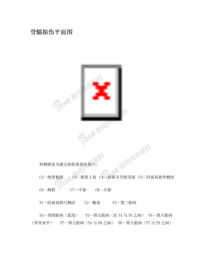 脊髓损伤平面图水平图