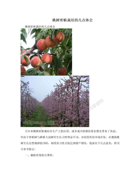 桃树密植栽培的几点体会