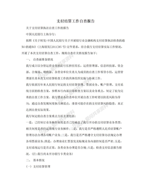 支付结算工作自查报告