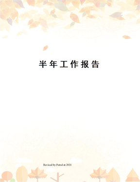 半年工作报告