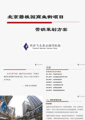 北京碧桂园商业街项目营销策划方案