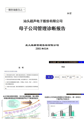 母子公司管理诊断报告