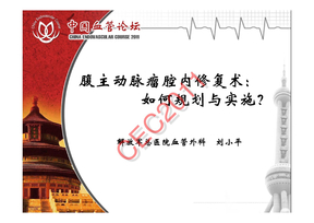 刘小平 腹主动脉瘤腔内修复术：如何规划与实施？
