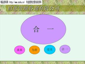 年度研发策略规划报告PT