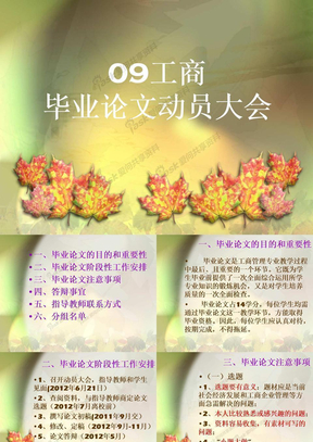 09级毕业论文动员大会