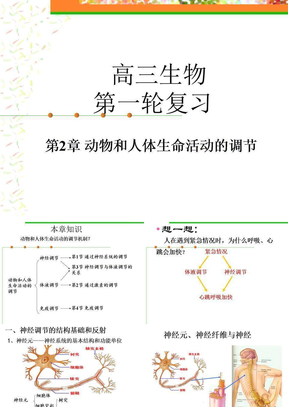 第2章 动物和人体生命活动的调节