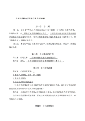 电子商务公司章程