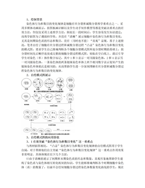 细胞有丝分裂说课自画图