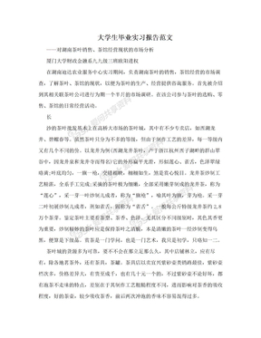 大学生毕业实习报告范文