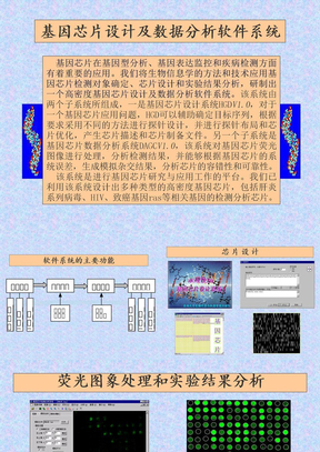 基因芯片在基因型分析