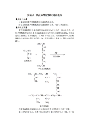 聚丙烯酰胺凝胶圆盘电泳