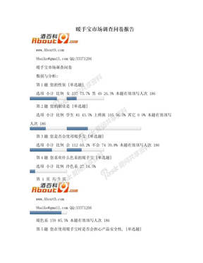 暖手宝市场调查问卷报告