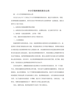 中小学教师继续教育心得