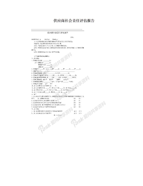 供应商社会责任评估报告