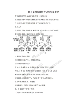 酵母菌细胞呼吸方式的实验探究