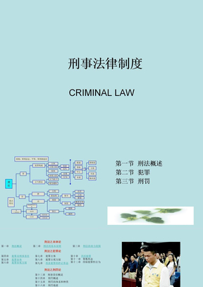 刑事法律制度 CRIMINAL LAW
