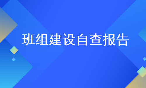 班组建设自查报告