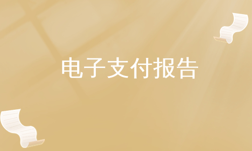 电子支付报告