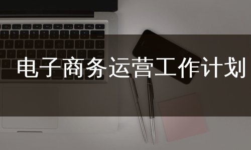 电子商务运营工作计划