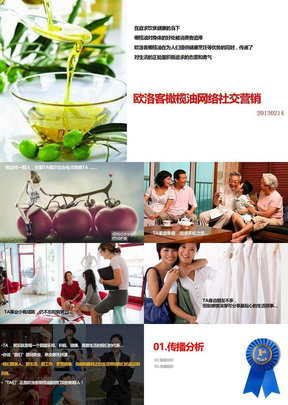 网络社交营销方案