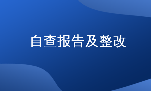 自查报告及整改