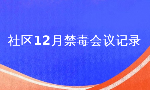 社区12月禁毒会议记录