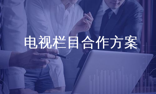 电视栏目合作方案