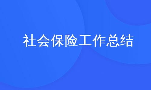 社会保险工作总结