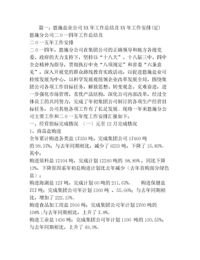 盐业公司工作计划