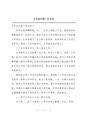 文员试用期工作总结
