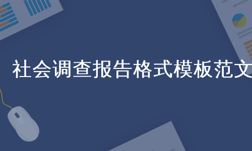 社会调查报告格式模板范文