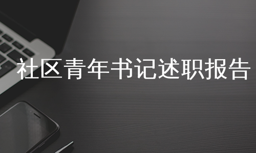 社区青年书记述职报告