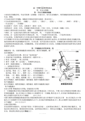 高中生物必修一总结超详细