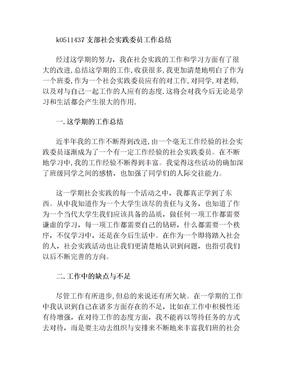 k0511437支部社会实践委员工作总结