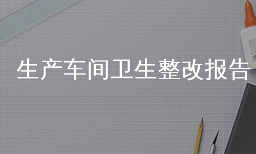 生产车间卫生整改报告