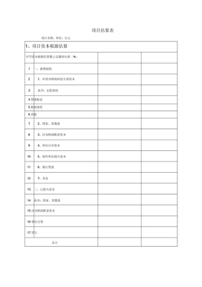 项目预算表