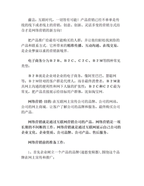 电商网络营销方案(1)