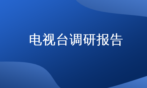 电视台调研报告