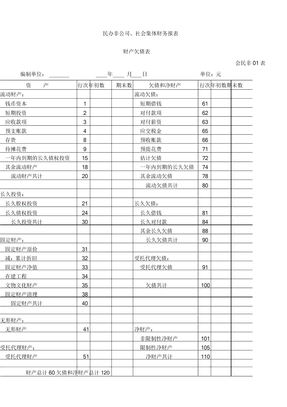 社会团体财务报表