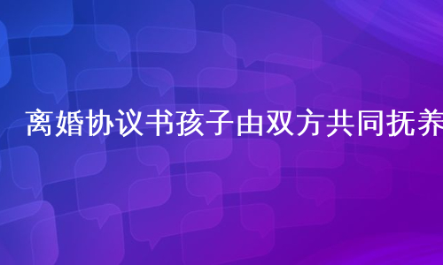 离婚协议书孩子由双方共同抚养