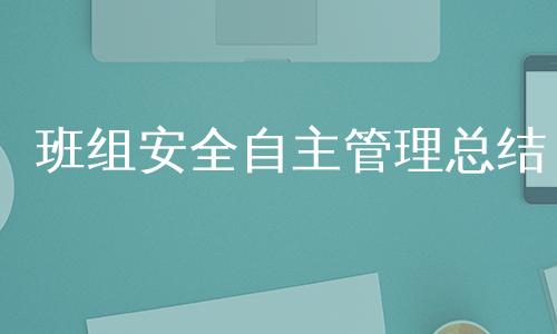 班组安全自主管理总结