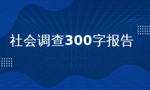 社会调查300字报告