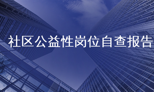 社区公益性岗位自查报告