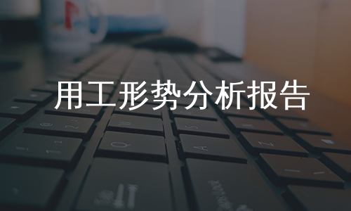 用工形势分析报告